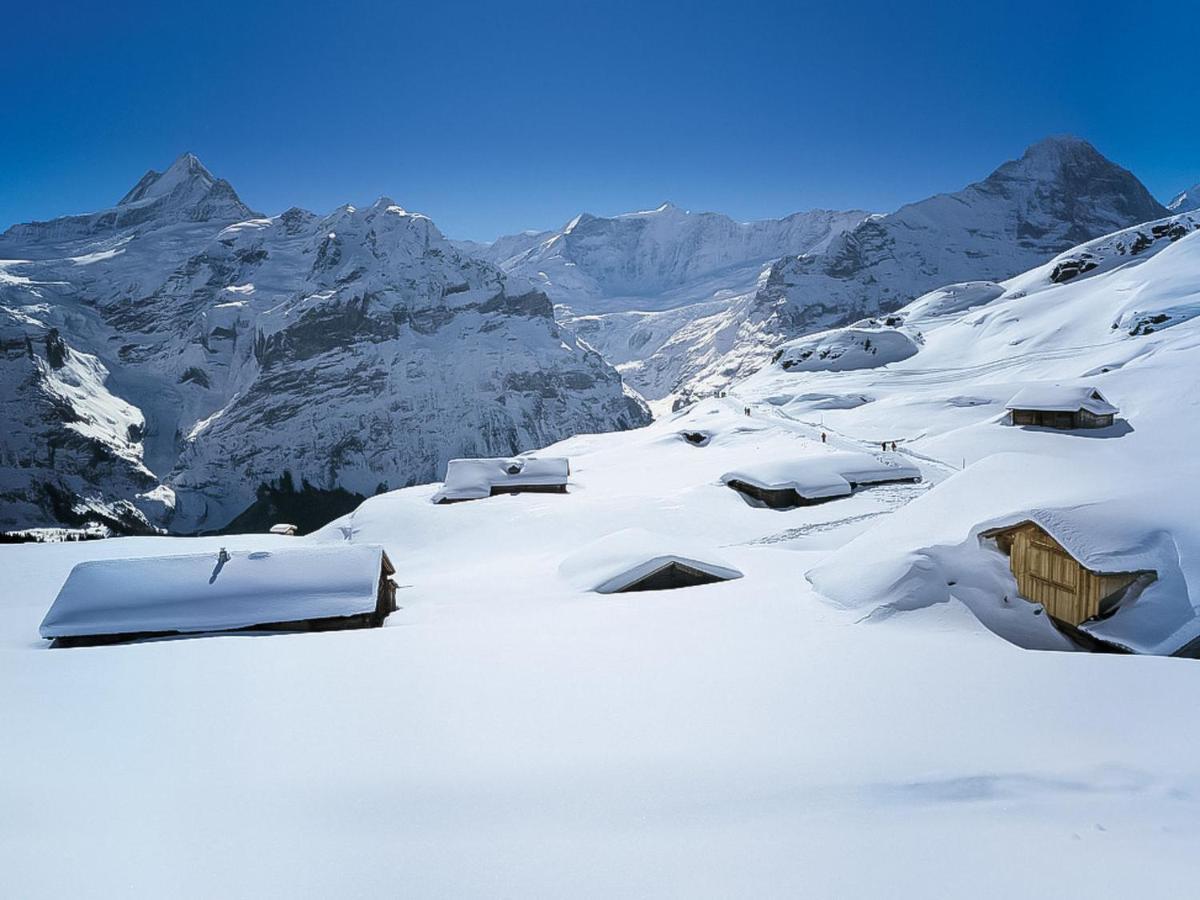 Apartment Chalet Almisraeba By Interhome Grindelwald Bagian luar foto