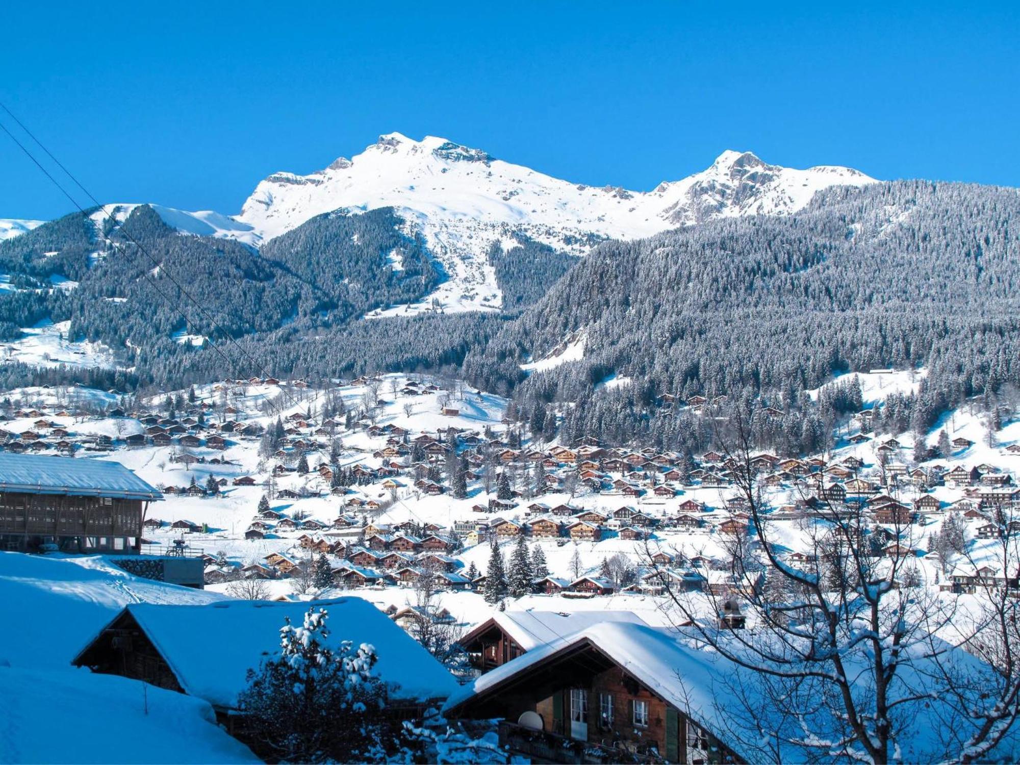 Apartment Chalet Almisraeba By Interhome Grindelwald Bagian luar foto